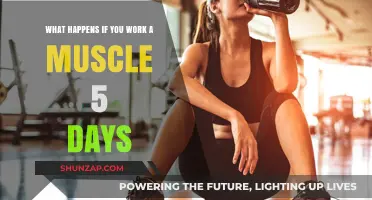 Working Muscles 5 Days a Week: Benefits, Risks, and Recovery Tips