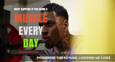 Daily Muscle Workouts: Benefits, Risks, and Recovery Explained