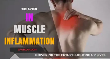 Muscle Inflammation: Causes, Effects, and Treatment