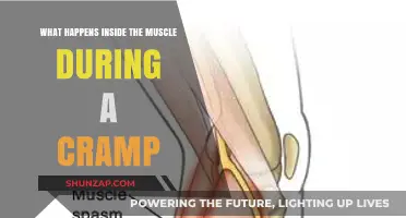 Unraveling the Mystery: What Happens Inside the Muscle During a Cramp?