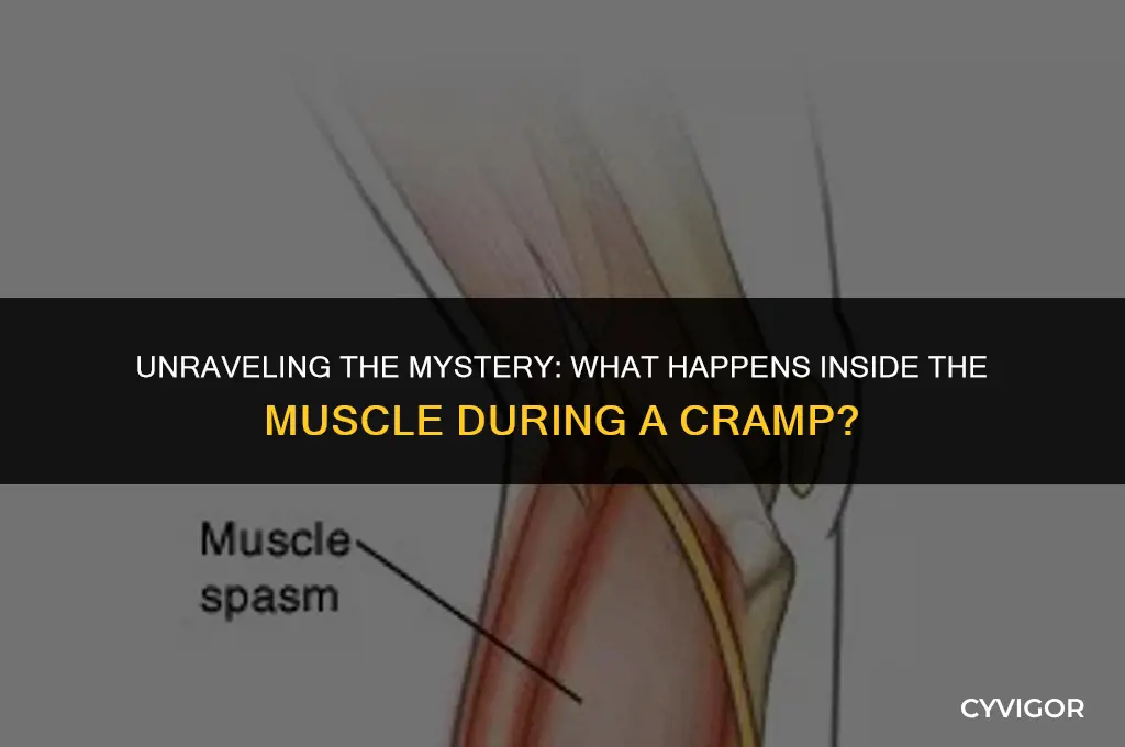 what happens inside the muscle during a cramp