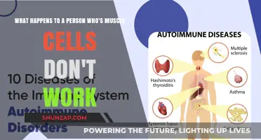 Muscle Cell Malfunction: Understanding the Impact on Human Health