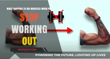 Muscle Loss: What Happens to Big Muscles When You Stop Working Out?