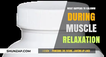 Calcium's Role in Muscle Relaxation: Unraveling the Process