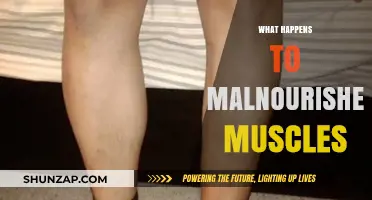 Malnourished Muscles: What Happens and How to Recover