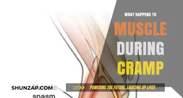 Unraveling the Mystery: What Happens to Your Muscles During a Cramp?