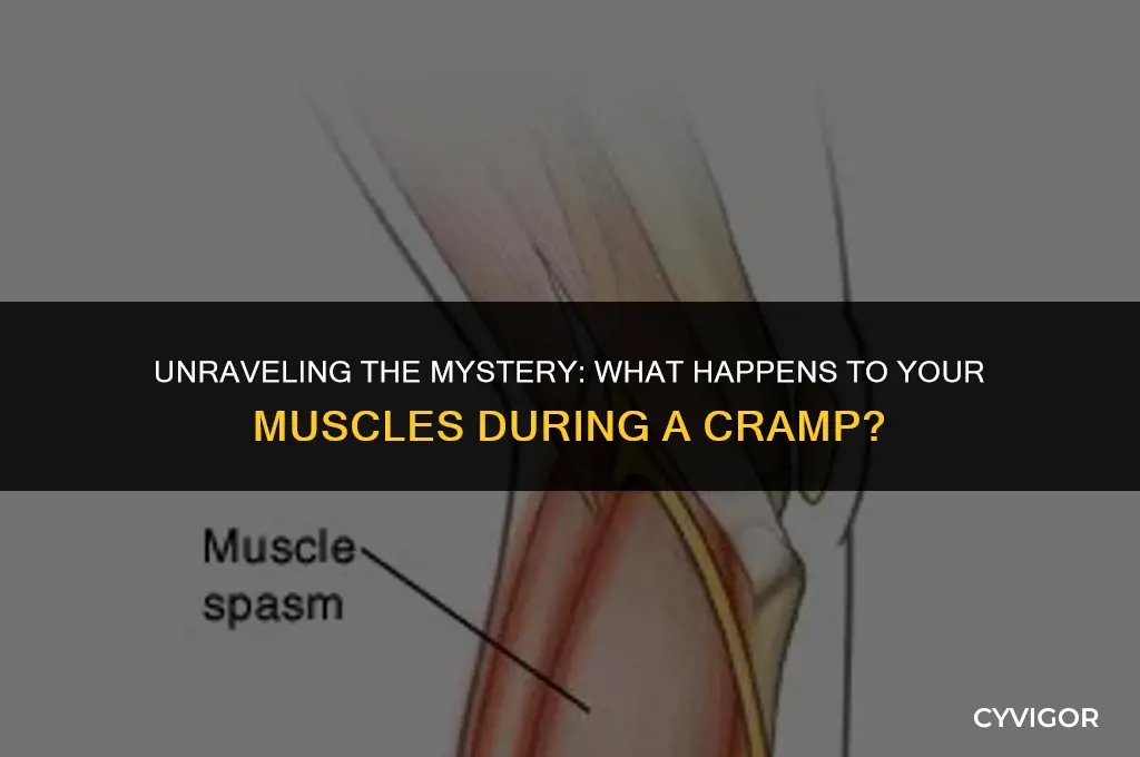 what happens to muscle during cramp