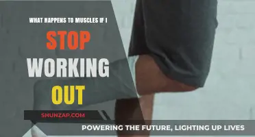 Muscle Loss: What Happens When You Stop Working Out?