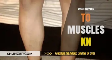 Muscle Atrophy: What Happens to Muscles When Not in Use?