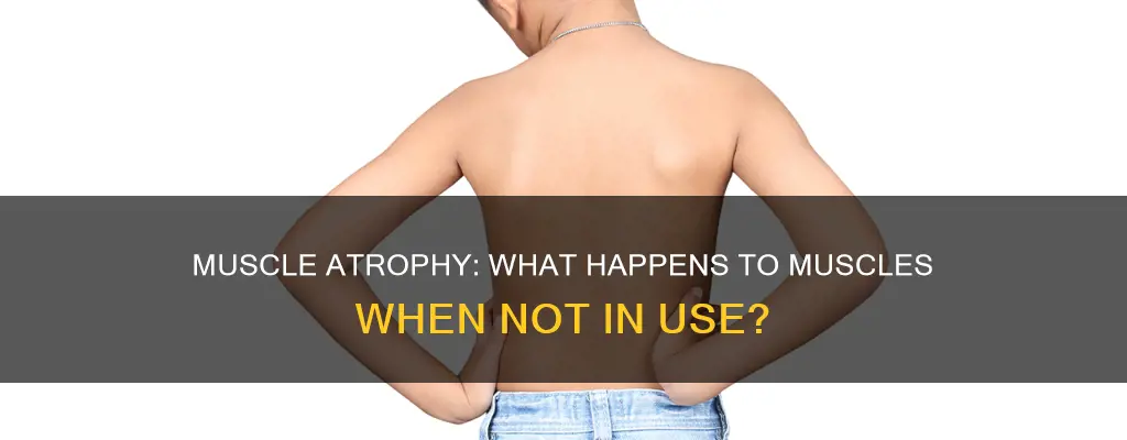 what happens to muscles kn