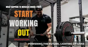 Unveiling Muscle Adaptations: What Happens When You Begin Working Out