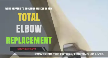 Shoulder Muscle Adaptations Post Total Elbow Replacement Surgery Explained