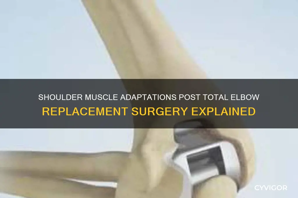 what happens to shoulder muscle in arm total elbow replacement