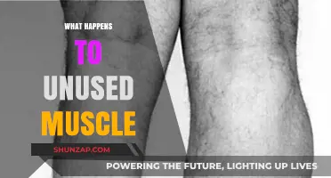 Muscle Disuse: What Happens to Unused Muscles?