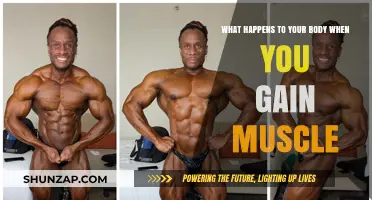 Muscle Gain: Transforming Your Body's Strength, Metabolism, and Health