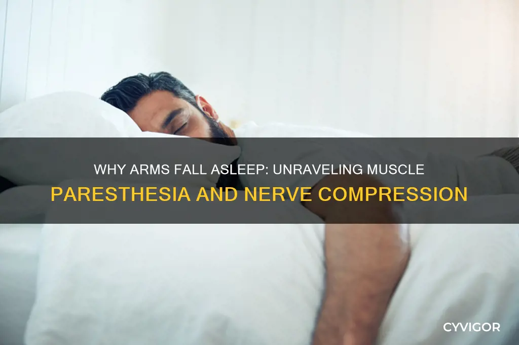what happens to your muscles when your arms are asleep