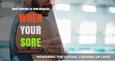 Understanding Muscle Soreness: Causes, Recovery, and What’s Happening Inside