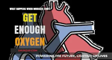The Consequences of Oxygen Deprivation on Muscle Function and Health