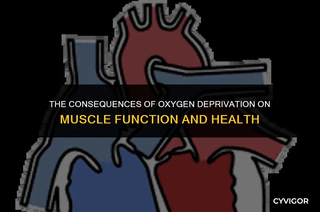 what happens when muscles don