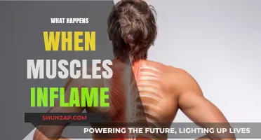 Muscle Inflammation: Causes, Effects, and Treatments