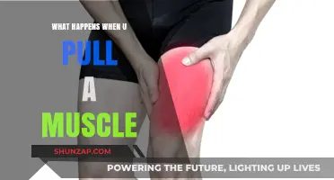 Understanding Muscle Strains: Causes, Symptoms, and Recovery Process Explained