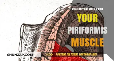Piriformis Muscle Pull: Symptoms, Causes, and Recovery Tips Explained