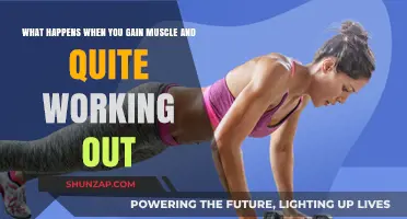 Muscle Loss and Recovery: What Happens When You Stop Training?
