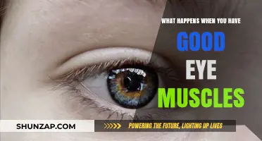 Strength in Sight: The Benefits of Good Eye Muscles