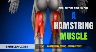 Pulled Hamstring: Symptoms, Recovery, and Prevention Tips Explained