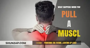 Understanding Muscle Strains: Causes, Symptoms, and Recovery Process Explained