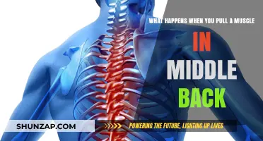 Understanding Pulled Middle Back Muscles: Symptoms, Causes, and Recovery Tips