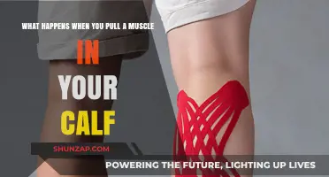 Calf Muscle Pull: Symptoms, Causes, and Recovery Explained