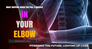 Understanding Elbow Muscle Strains: Symptoms, Causes, and Recovery Tips