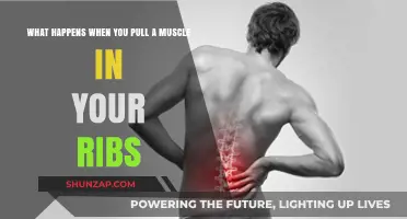 Pulled Rib Muscle: Symptoms, Causes, and Recovery Explained