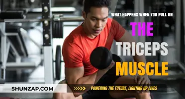 Pulling on the Triceps: Effects, Risks, and Recovery Explained