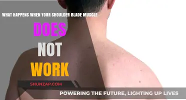 Shoulder Blade Muscle Dysfunction: Causes, Symptoms, and Treatment Options