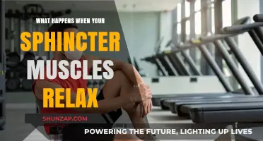 Understanding Sphincter Relaxation: Causes, Effects, and When to Seek Help