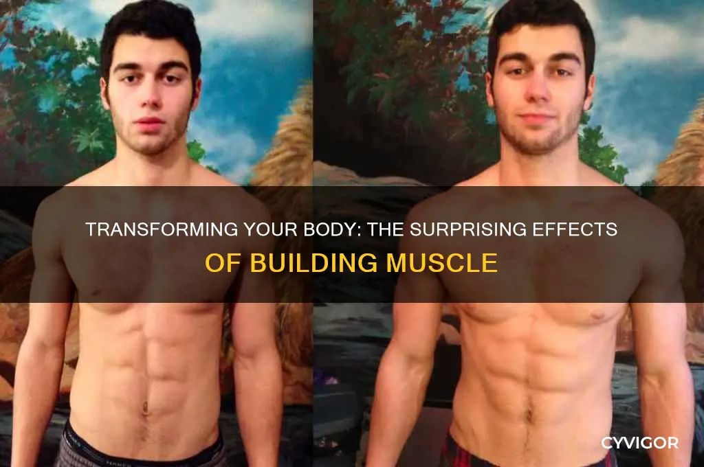 what happens whwn you start gain muscle