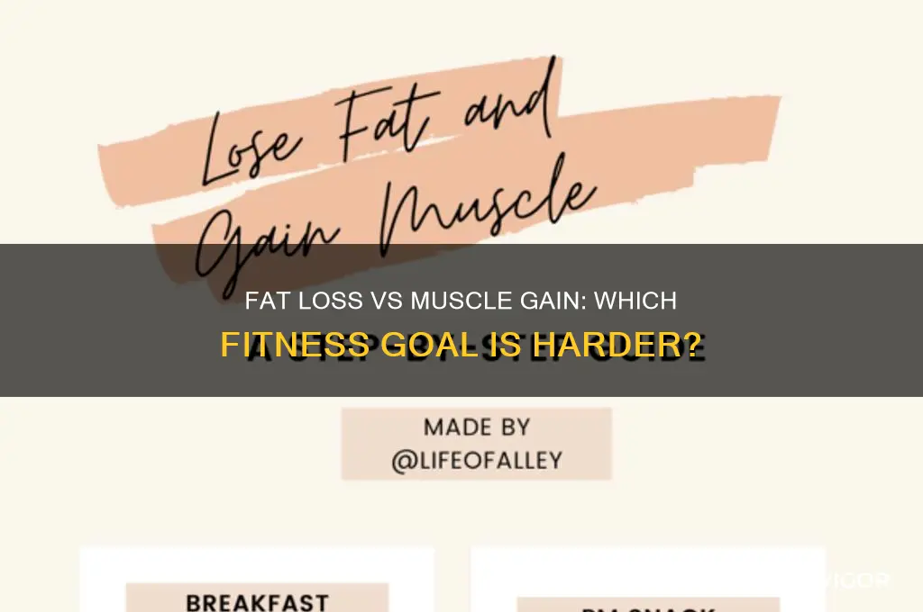 what harder losing fat or gaining muscle
