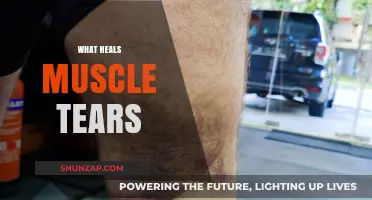 Healing Muscle Tears: Natural Ways to Recover and Rebuild