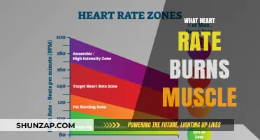 Heart Rate Zones: Burning Fat or Muscle?