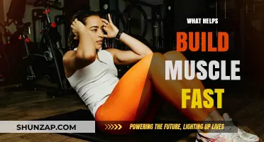 Unlocking Rapid Muscle Growth: Proven Strategies for Fitness Enthusiasts