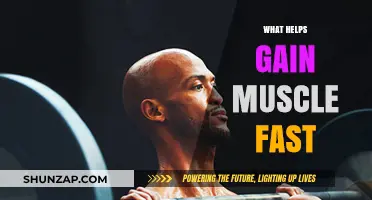 Effective Strategies for Rapid Muscle Gain: Nutrition, Training, and Recovery