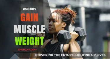 Effective Strategies for Building Muscle Mass and Strength