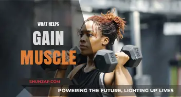 Effective Strategies for Building Muscle: Nutrition, Training, and Recovery Tips