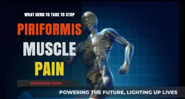 Relieve Piriformis Muscle Pain: Top Herbs for Natural Relief