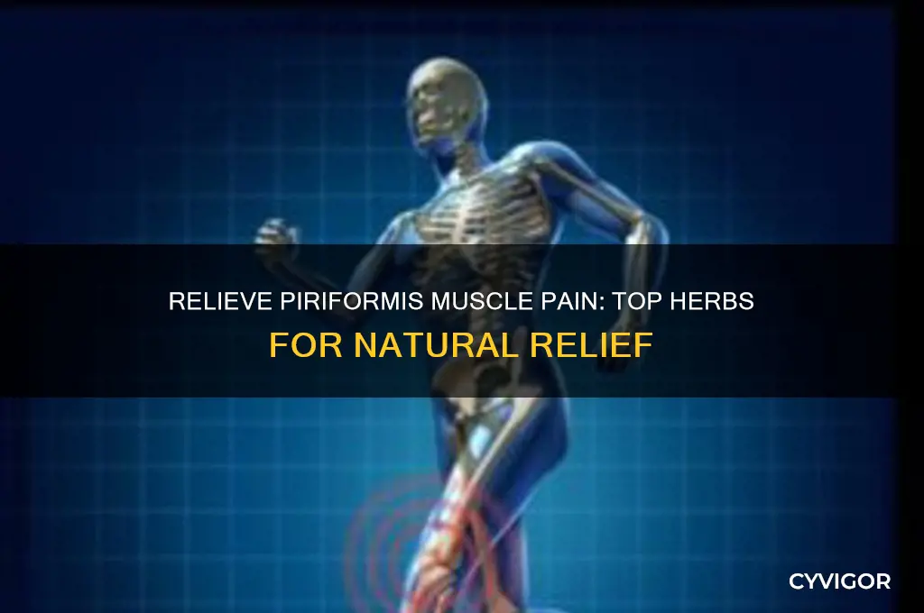 what herb to take to stop piriformis muscle pain