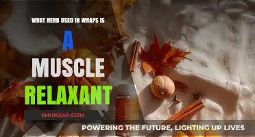 Discover the Muscle-Relaxing Herb Commonly Used in Wraps