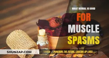Natural Remedies: Top Herbs to Ease Muscle Spasms