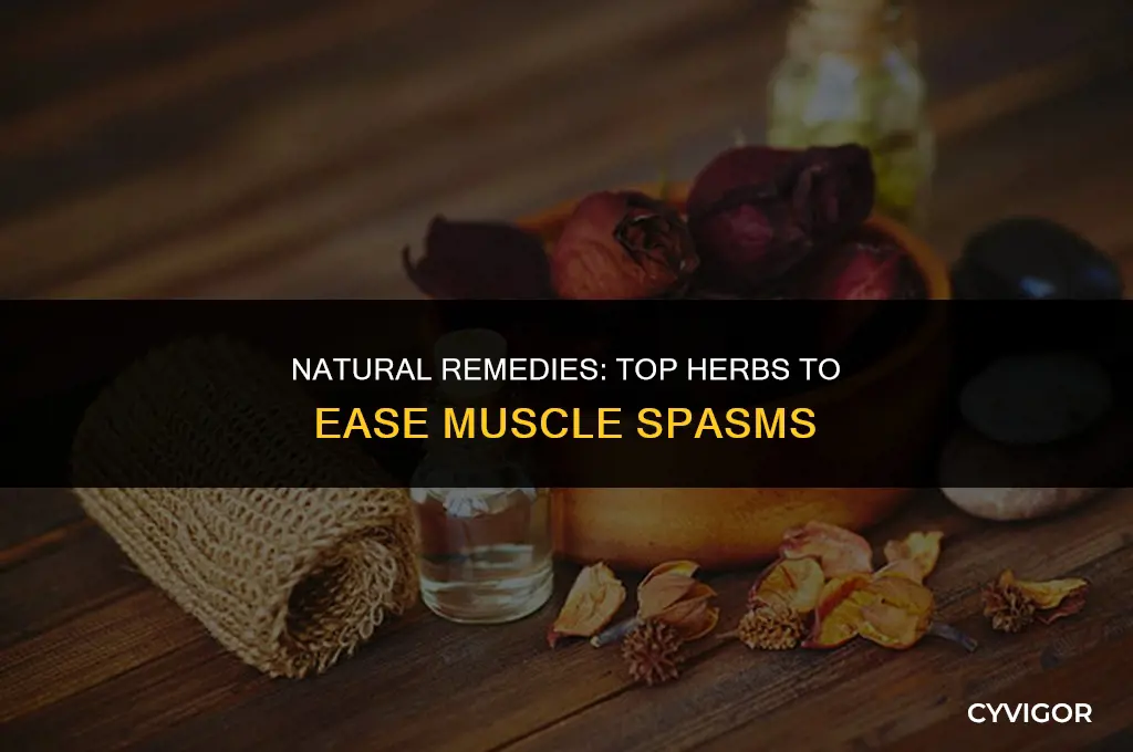 what herbal is good for muscle spasms